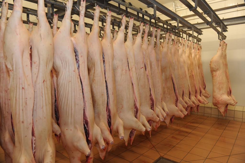 Gaļas pārstrādes uzņēmuma Nākotne apgrozījums sarucis, bet peļņa augusi