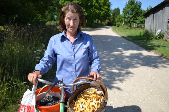 Mellenes šogad vai lien uz ceļa