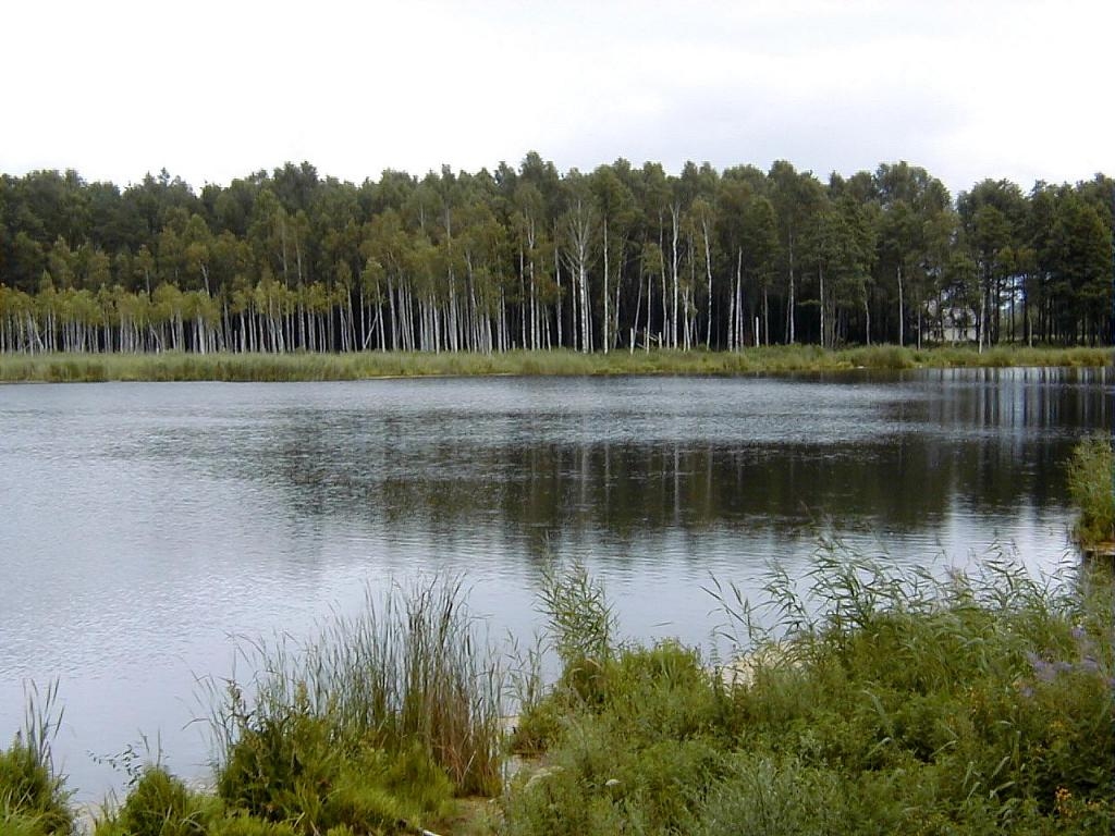 Šogad VUGD glābēji no ūdenstilpnēm izcēluši jau 77 noslīkušus cilvēkus