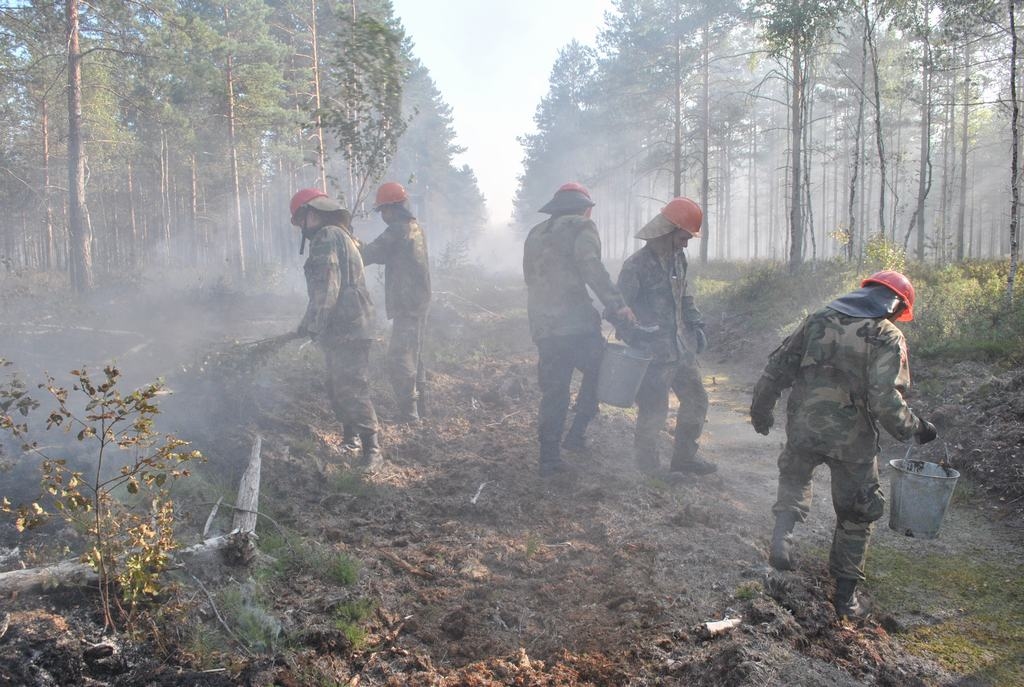 Samazinātas Zalves pagasta meža ugunsgrēka gruzdošās platības; meža laistīšanu atsāks pirmdien