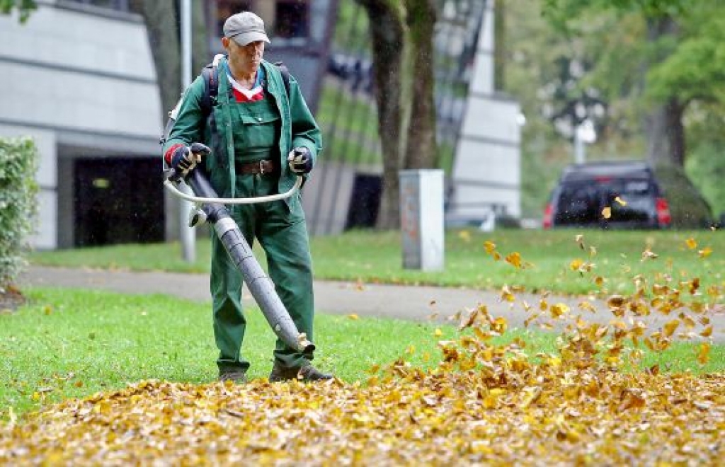 Baudāmam rudenim sekos silta ziema