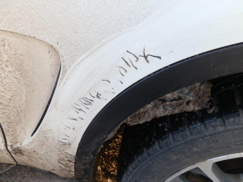 FOTO: Suns sagrauž BMW X5 virsbūvi