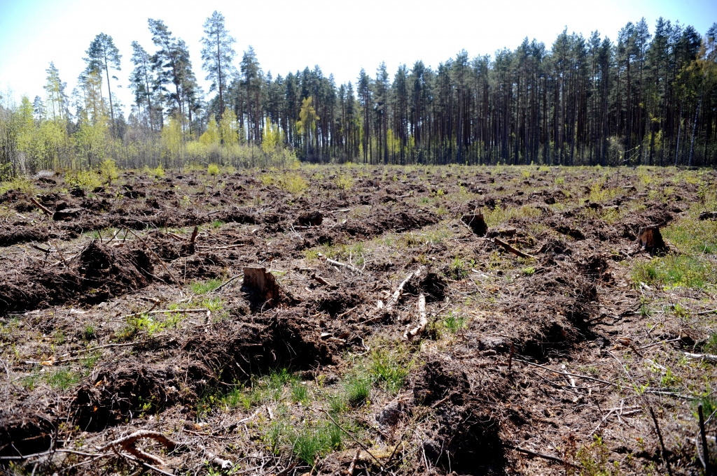Septiņiem mežizstrādātājiem par aizliegtu vienošanos piemēro 59,4 tūkstošu eiro sodu