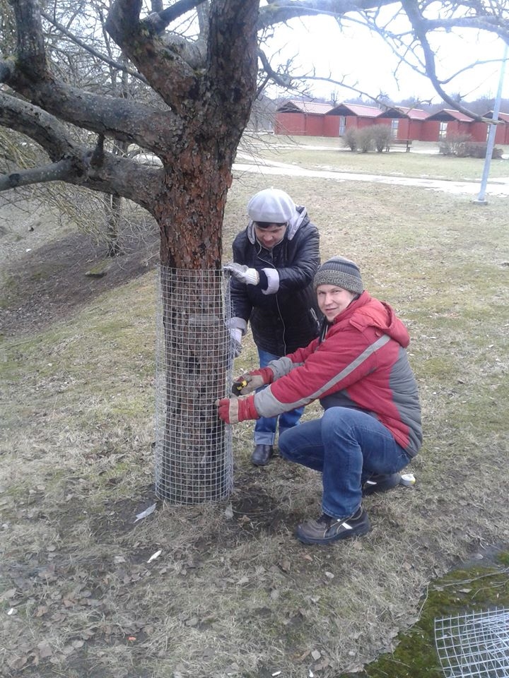 Kociņus pie Aizkraukles pilsētas dīķa ieģērbj bruņuvestēs