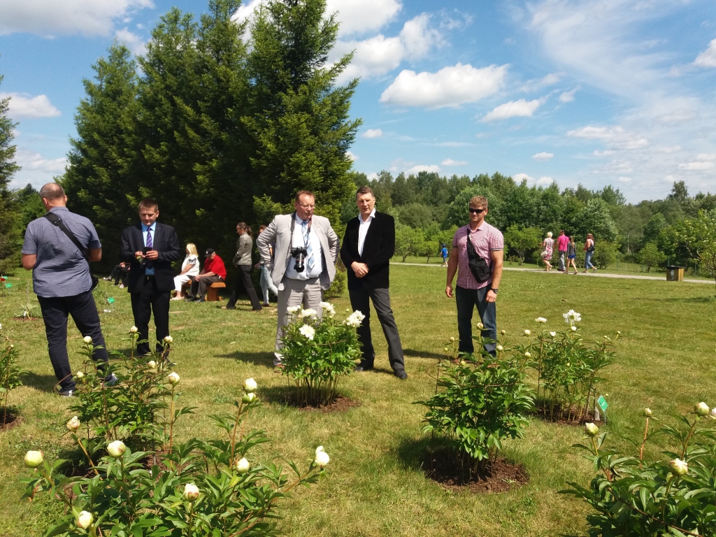 Peoniju daudzveidība Kalsnavā