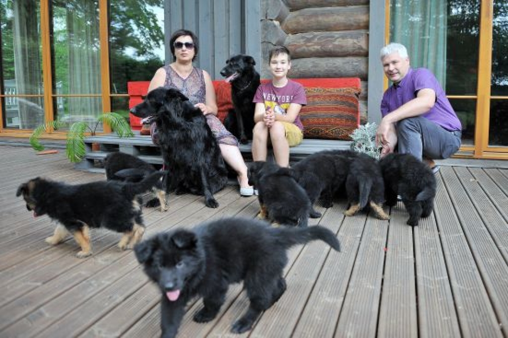 Visu cieņu melnajiem, garspalvainajiem