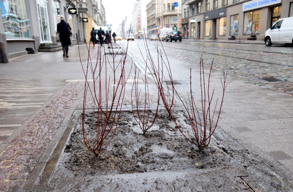 Satiksmes departamenta vadītājs: Problēmas ar Barona ielas segumu radīsies arī turpmāk