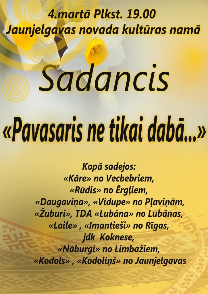 Jaunjelgavā sadancis