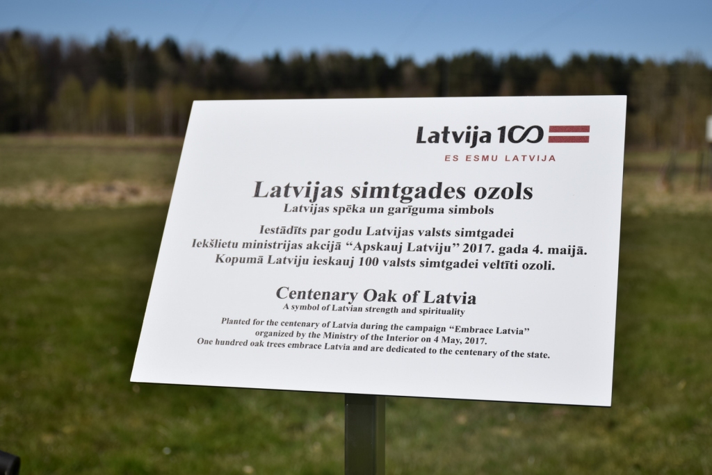 Kurmenē iestāda Latvijas simtgades ozolu