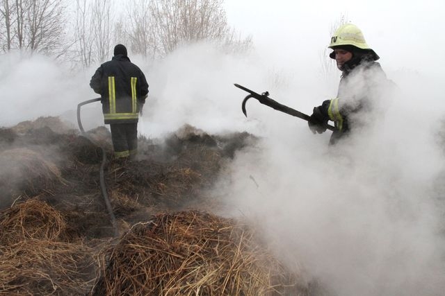 Secē no degošas kūts izglābj bulli