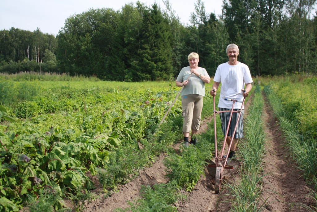 Projekts mudina iekopt mazdārziņu