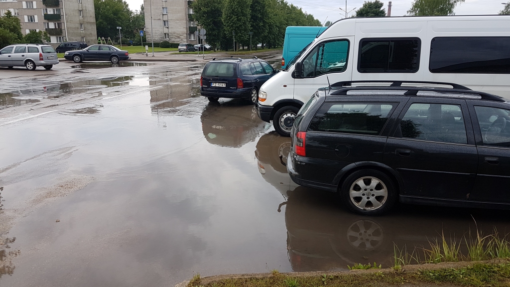 Peļķe traucē tirgus darbu
