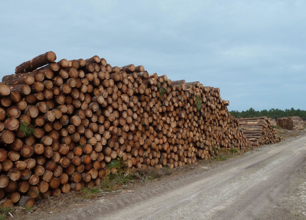 Mežizstrādātāja "Billerudkorsnas Latvia" apgrozījums pērn saruka par 12%