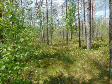 Balsosim par skaistākajām Latvijas ainavām!