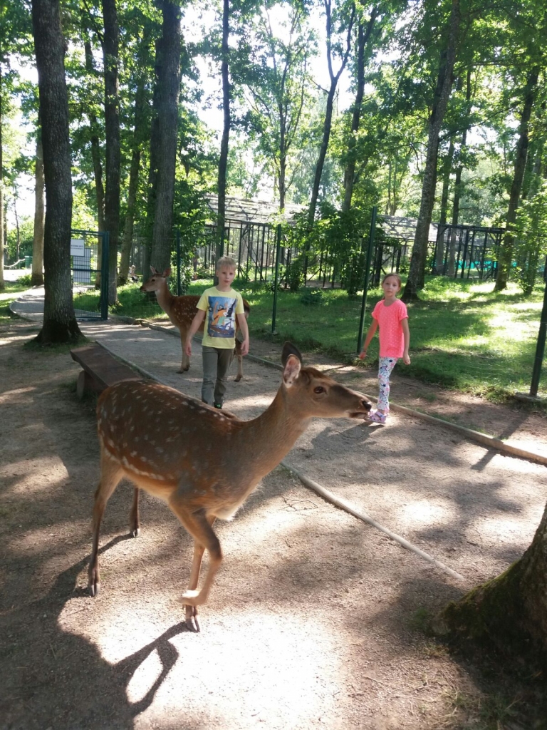 Uz kaimiņvalsti — samīļot Bembiju!