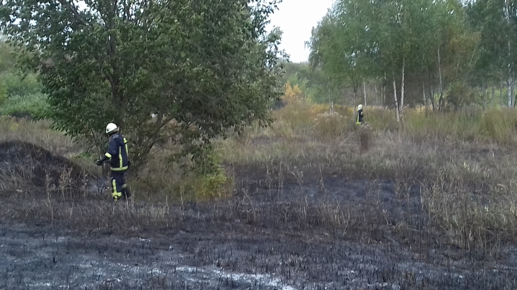 Lietus laikā Aizkrauklē deg sausā zāle