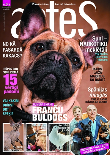 ‘‘Astes’’