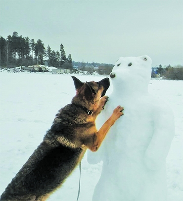 Laika ziņas