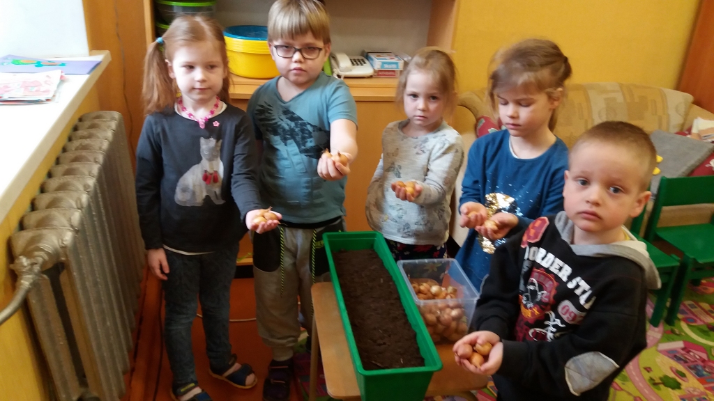 No dakšiņām tulpes plaukst!