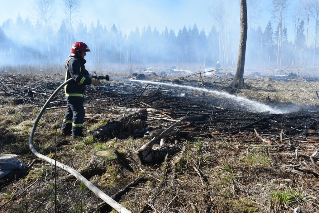 Latvijas zeme izdeg vairāk nekā pērn