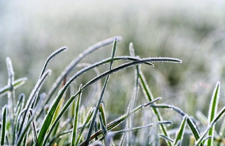 Nākamnedēļ gaidāmas spēcīgas salnas, maijā iespējami aukstuma rekordi