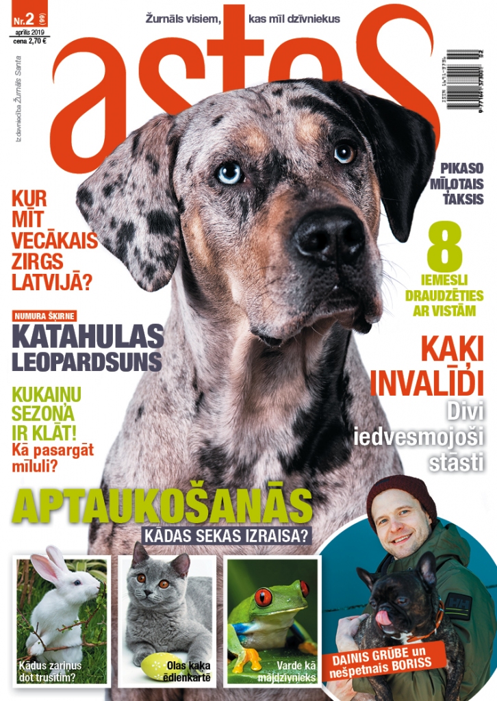 Iznācis jaunais žurnāla “Astes” numurs. Tajā lasi: