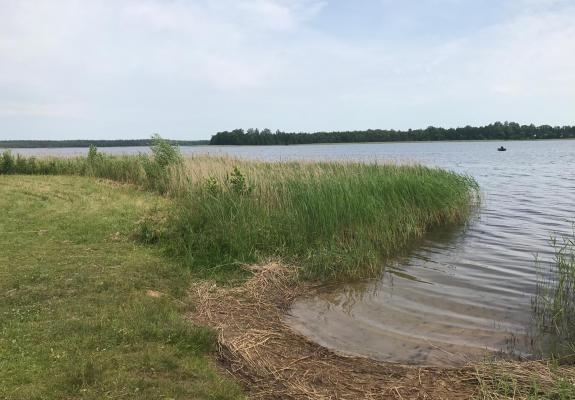 Mežezera peldvieta Odzes ezera krastā pirms un pēc atjaunošanas
