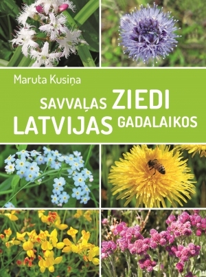 Grāmatu apskats
