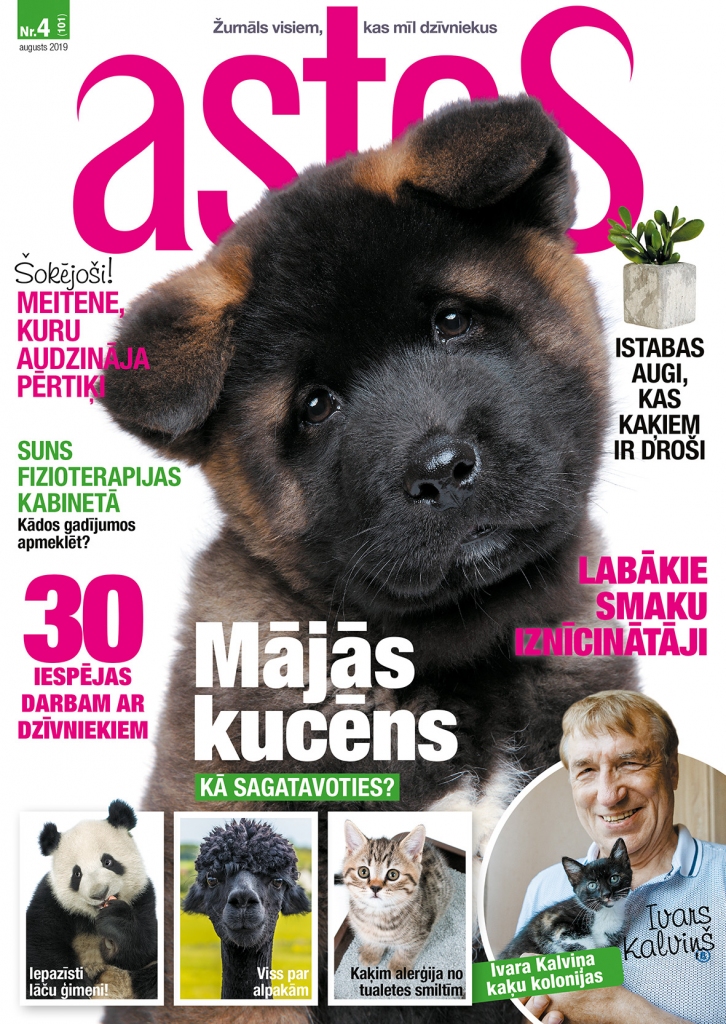 ‘‘Astes’’