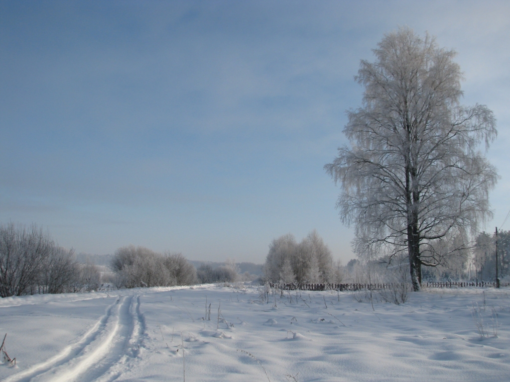 Gaidāms silts janvāris