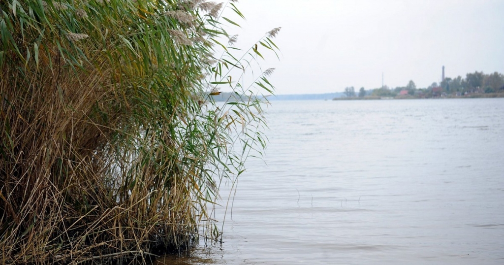 Pļaviņu un Jaunjelgavas novadā no upes un grāvja izceļ bojāgājušos