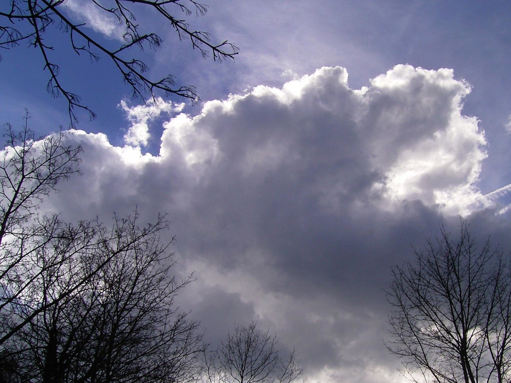 Meteorologi izsludina oranžā līmeņa brīdinājumu