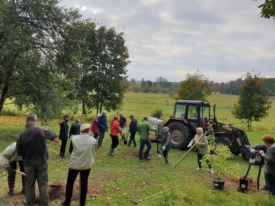 Kokneses parks kļūst vēl zaļāks