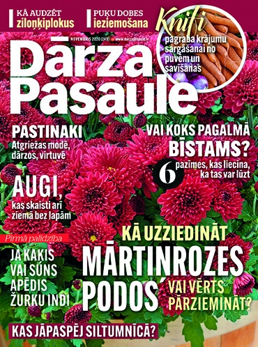 Žurnālā “Dārza Pasaule” novembrī