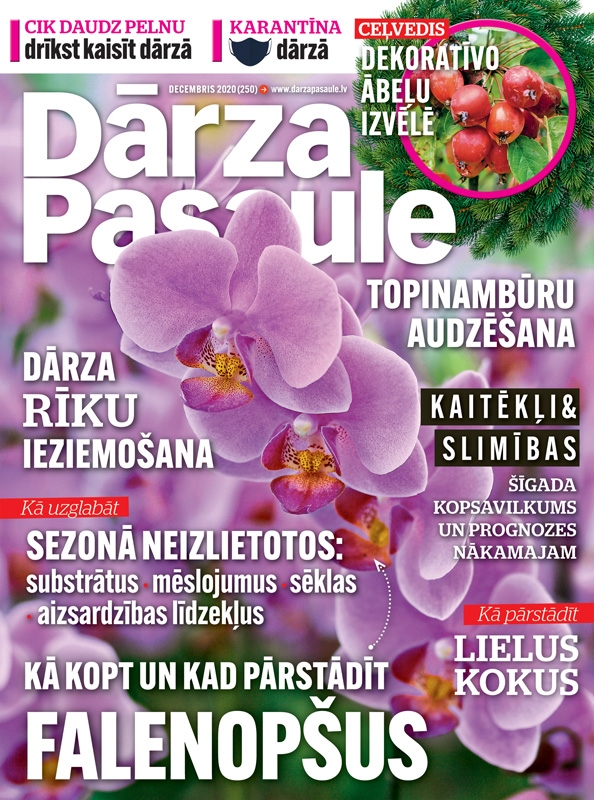 Žurnālā “Dārza Pasaule”