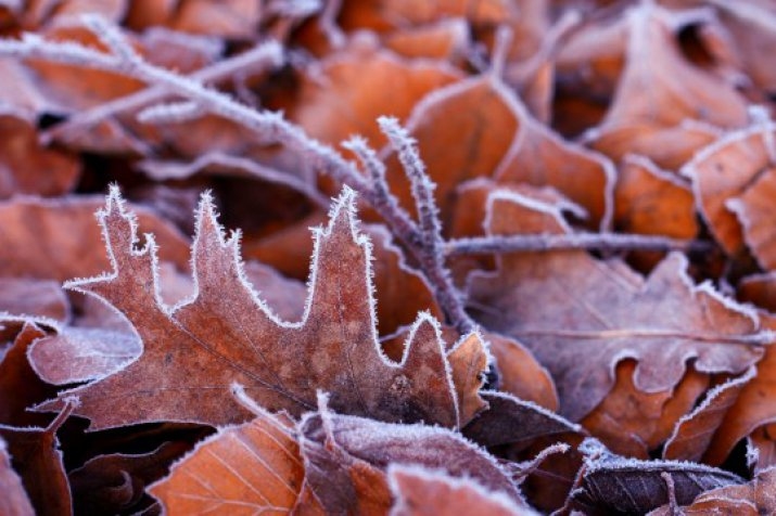 Trešdien gaisa temperatūra nepakāpsies virs nulles