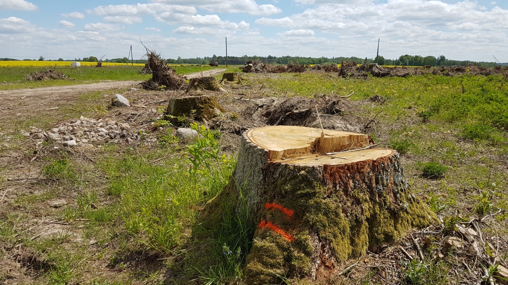 Pret vācieti kriminālprocesu neuzsāk