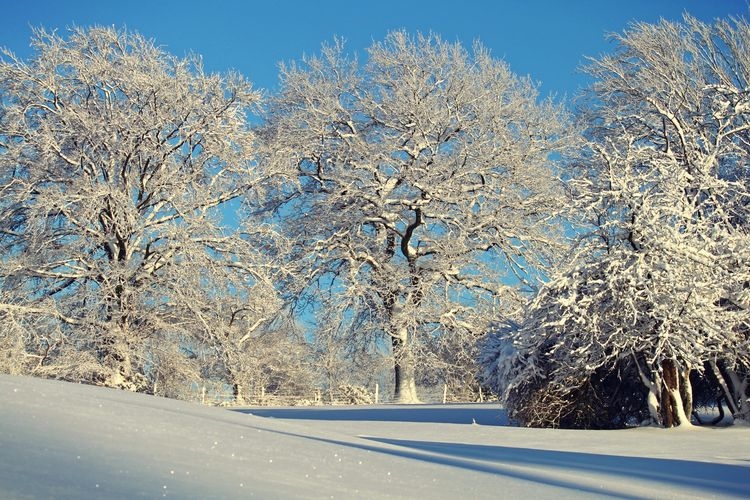 Naktī uz ceturtdienu gaisa temperatūra noslīdēs zem nulles