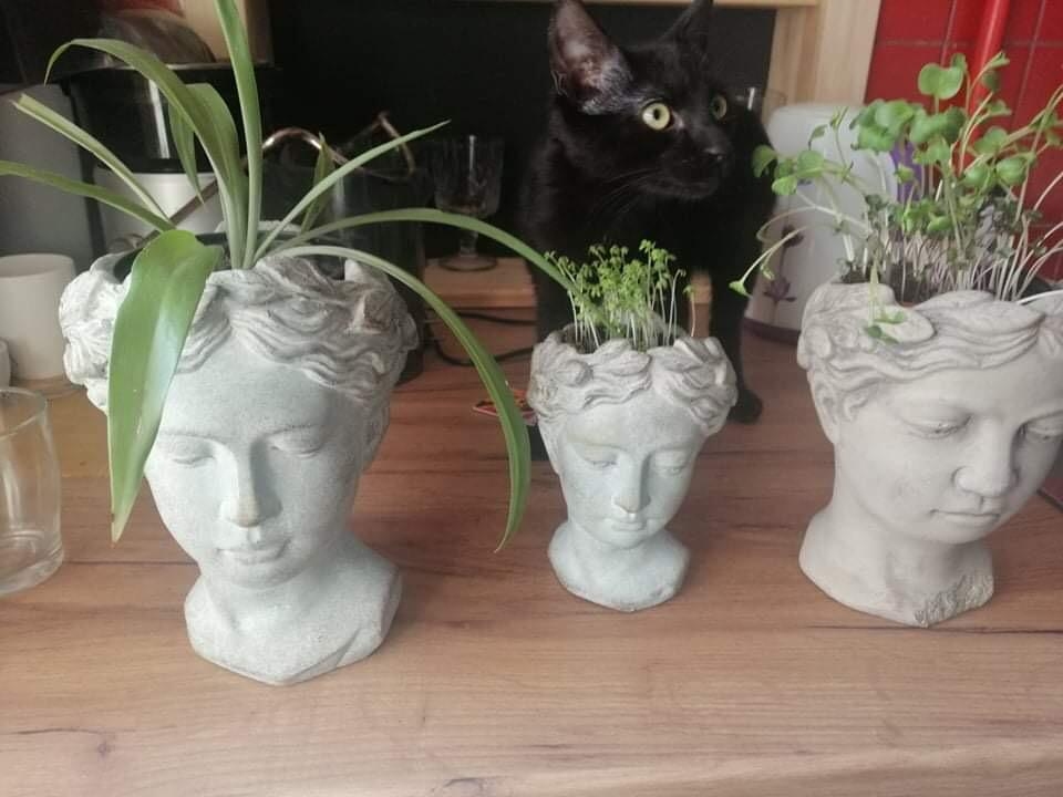 Laika ziņas