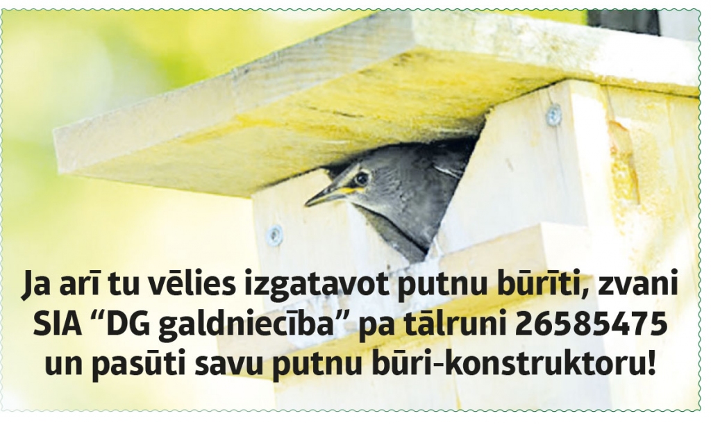 Uzvarētājs saņems putnu būri-konstruktoru