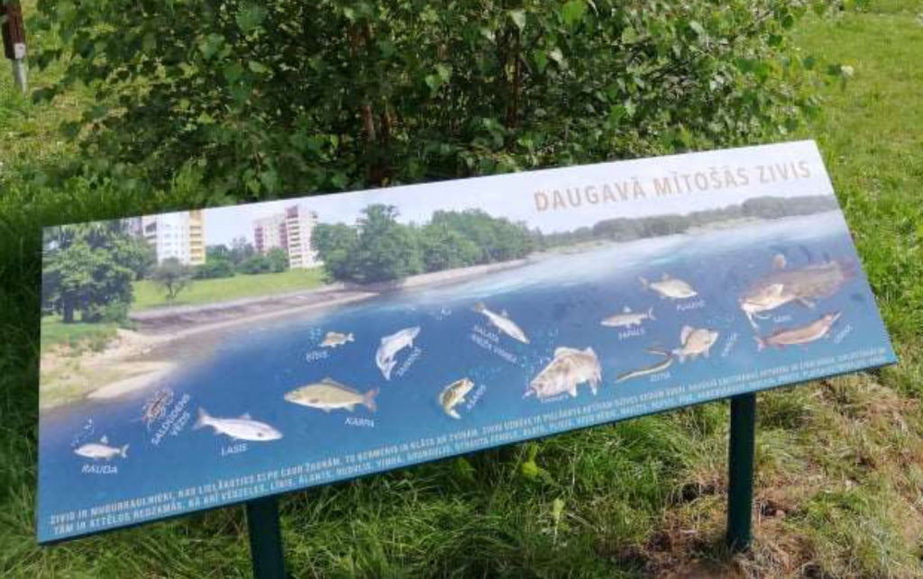Ar “Daugavas savienības” atbalstu sakārto vidi