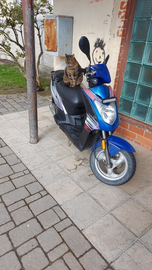 Laika ziņas