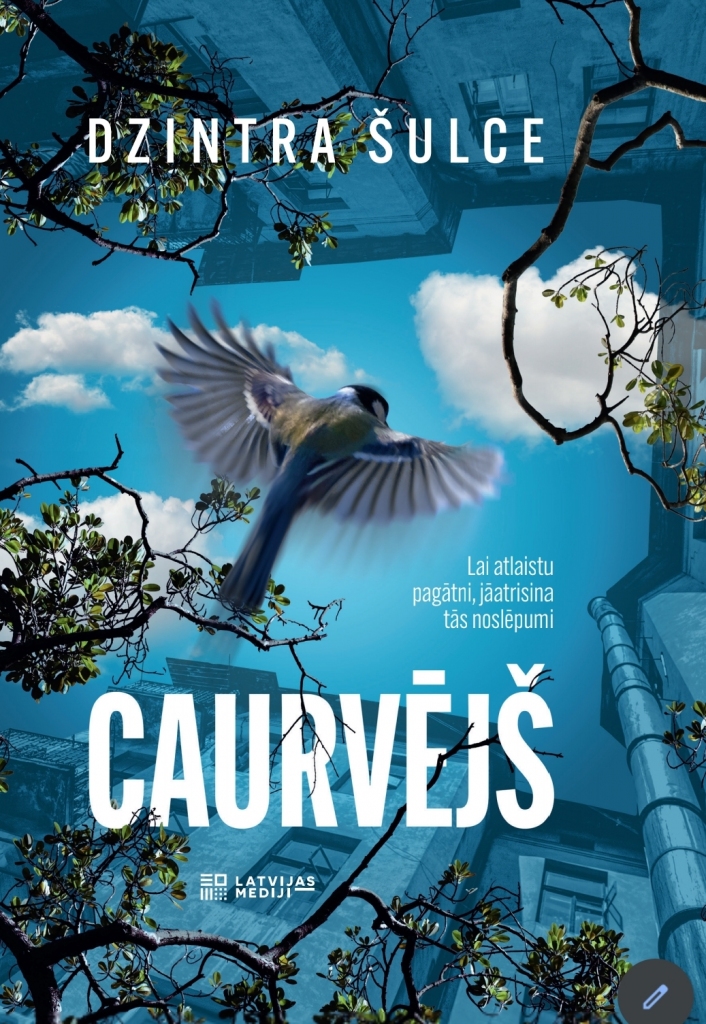 Stāsts par meklēšanu