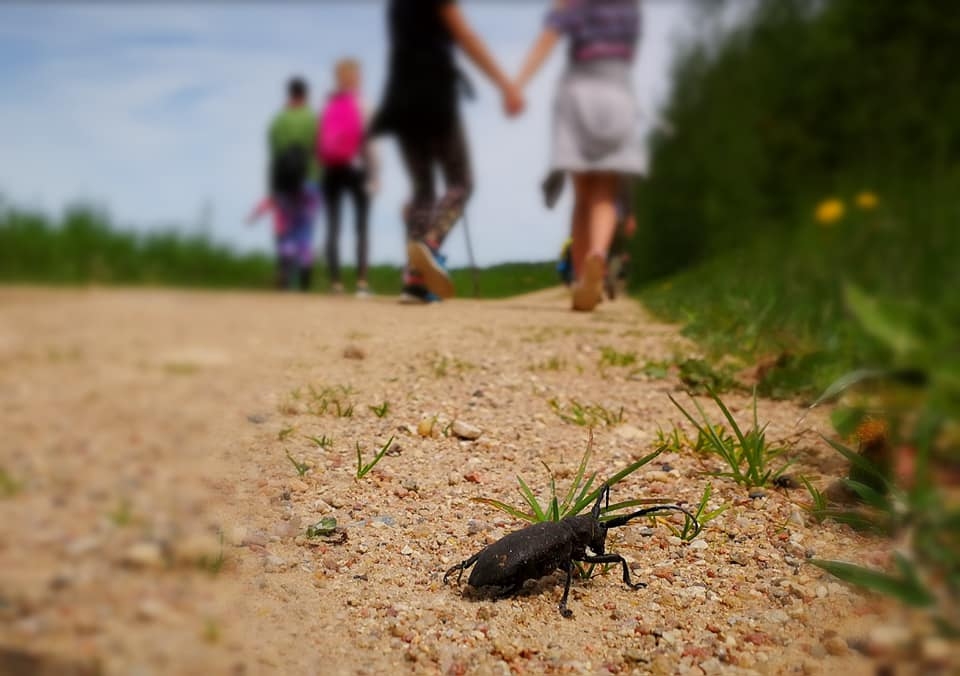 Sēlijā norisināsies vides inteliģences vasaras skola
