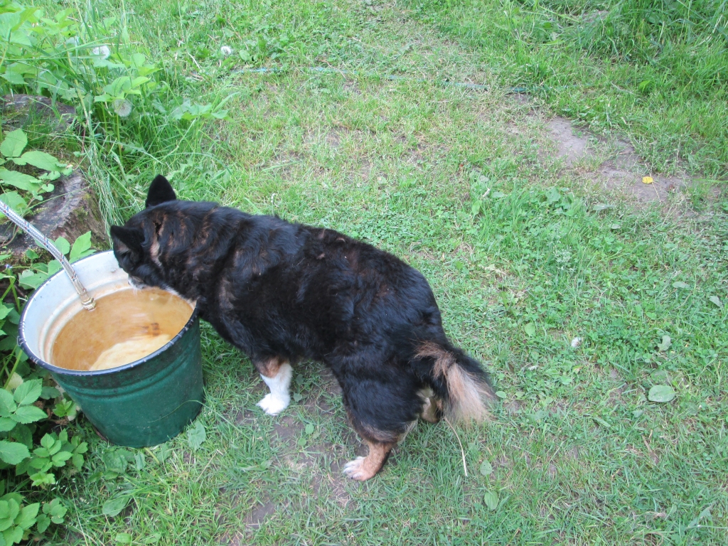 Laika prognoze Jāņiem