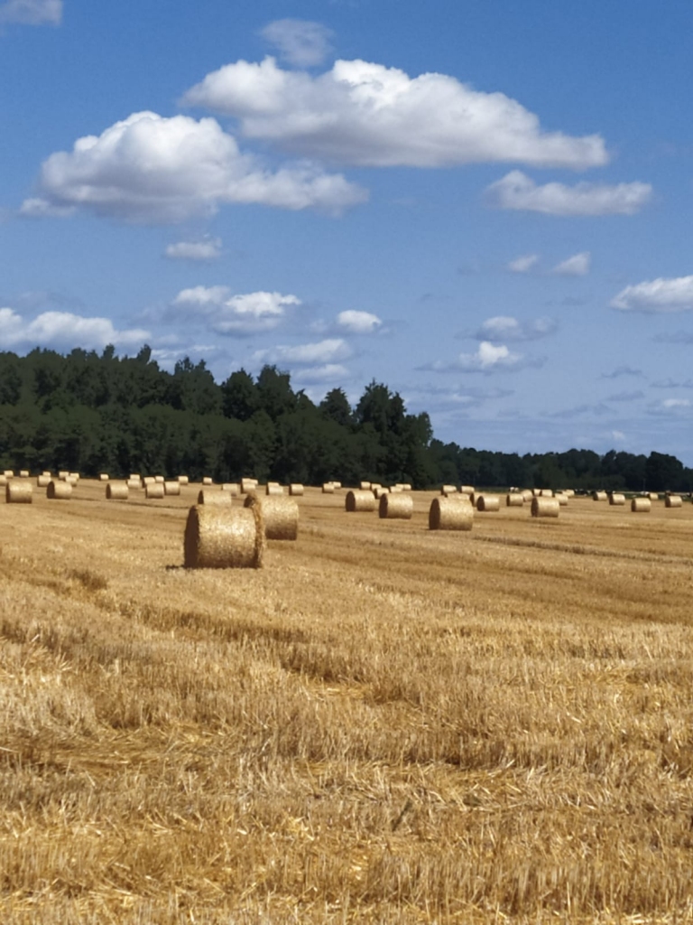 Nedēļas otrajā pusē karstums mazināsies