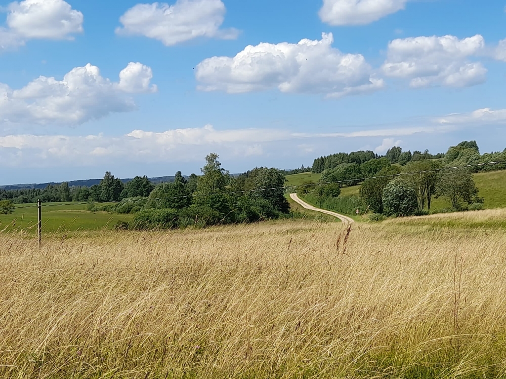 Kāds laiks būs augustā?