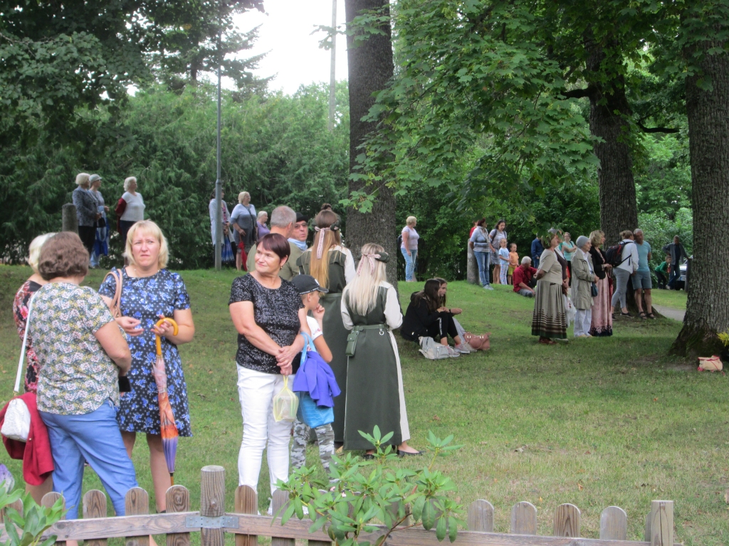 Ziņģe pastaigājas zaļumos