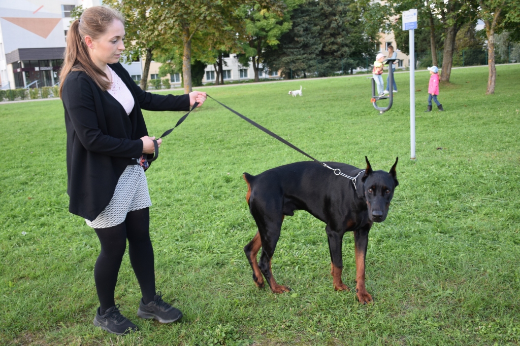 Suņi jāaudzina tāpat kā bērni