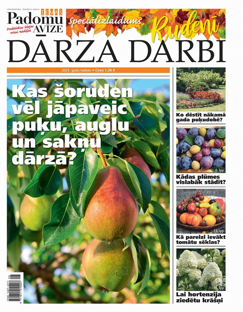 “Dārza Darbi”